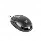 МИШКА ЖИЧНА NATEC VIREO 2 1000DPI ЧРН