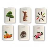  B&W NATURE A4 100 PVC 2 