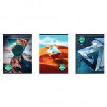  B&W LADY WITH FLOWERS 4 80  