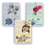  B&W BOTANICAL A5 80 2 