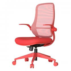 ����������� ���� ASTARA ������