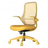 ����������� ���� ASTARA ����