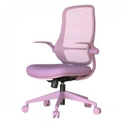 ����������� ���� ASTARA �����