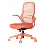 ����������� ���� ASTARA �������