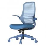 ����������� ���� ASTARA ���