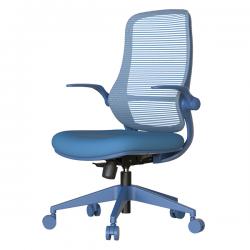 ����������� ���� ASTARA ���