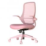 ����������� ���� ASTARA �����������