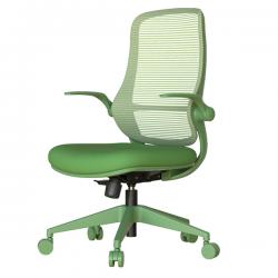 ����������� ���� ASTARA �����