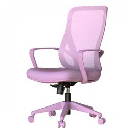 ���� ���� BARDA - �����