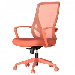 ���� ���� BARDA - �������