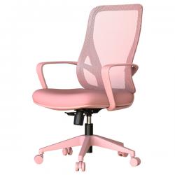 ���� ���� BARDA - ������ �����