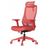 ����������� ���� MASALI ������