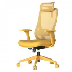 ����������� ���� MASALI ����