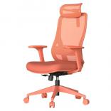 ����������� ���� MASALI �������