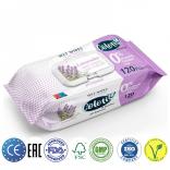   PAPILION COLOTIS LAVENDER   120 .