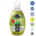   PAPILION OLIVE 3