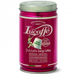   LUCAFFE PULCINELLA NCC 22 