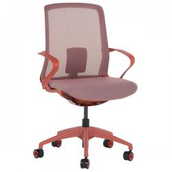 ������� ���� ���� LEXIE ������